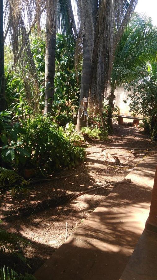 Casa Bella Cedros Villa Olímpia Eksteriør billede